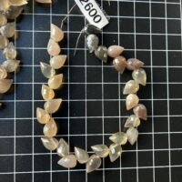 Moonstone grey, flower bud, 20cm