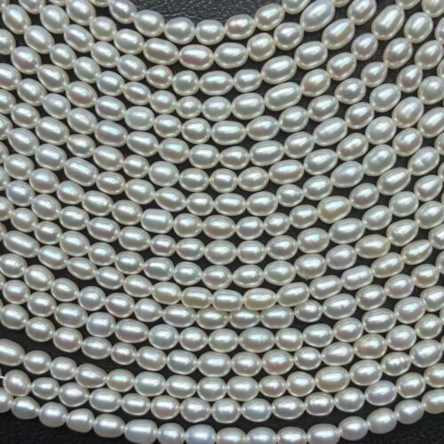 Freshwater Pearl, Rice S, 6-4.5*4 Mm, 36 Cm