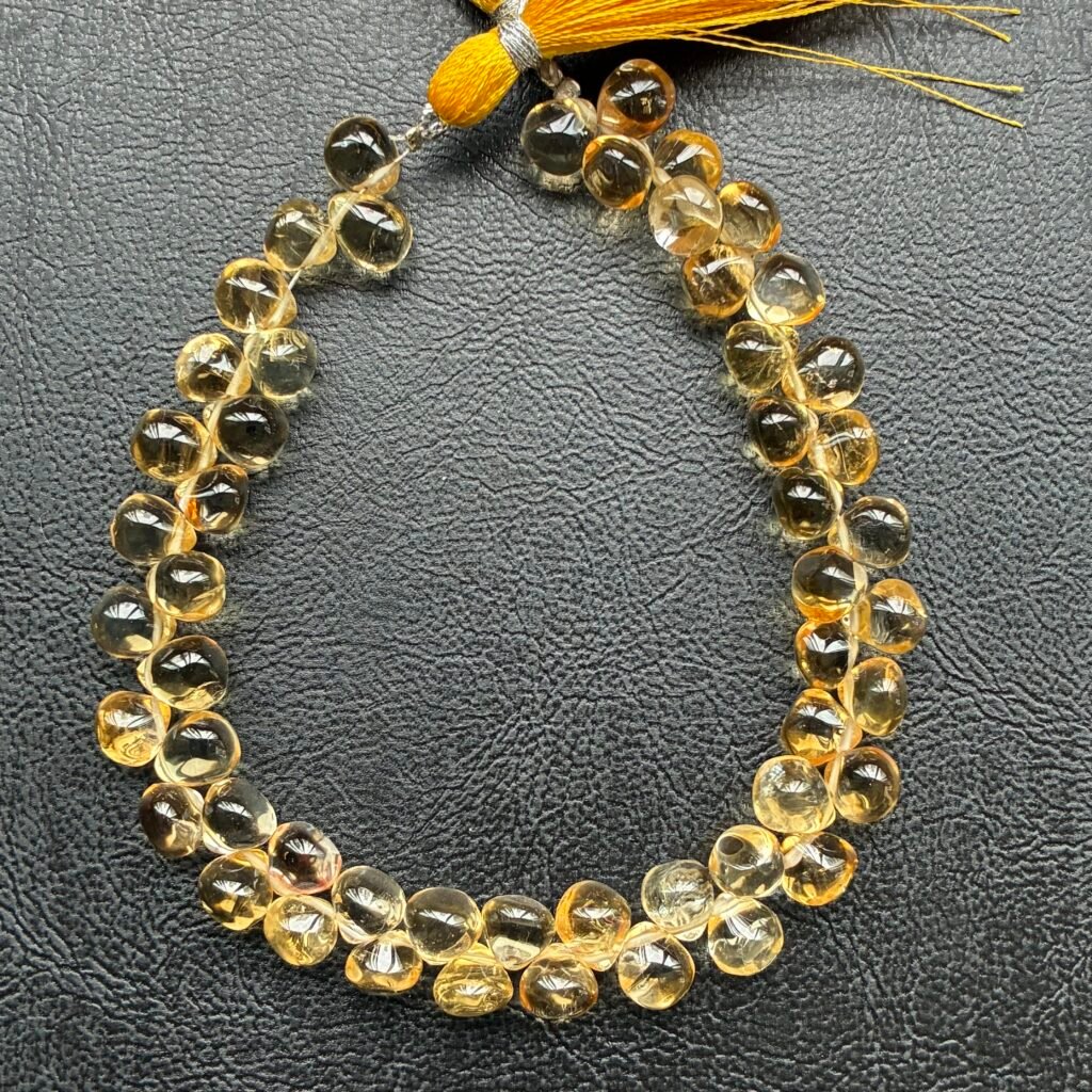 Citrine Onion Smooth,22Cm