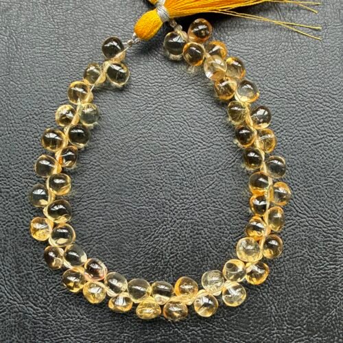 Citrine Onion Smooth,22Cm