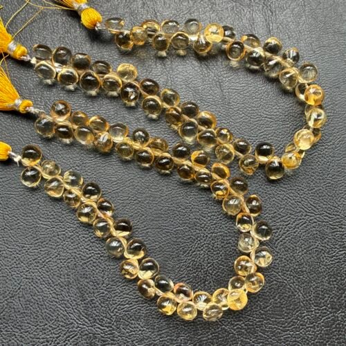 Citrine Onion Smooth,22Cm