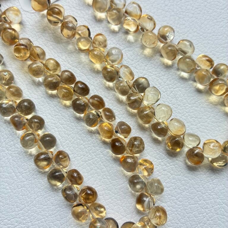 Citrine Onion Smooth,22Cm