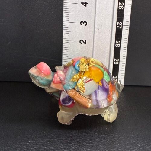 Turtle, 5*3 Cm, Colorful