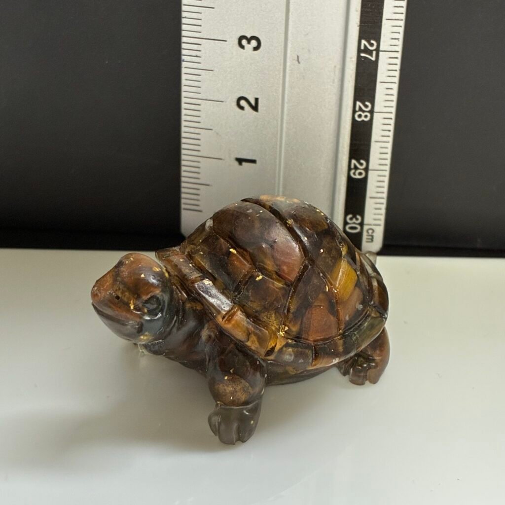 カメ、5×3cm、タイガーアイ