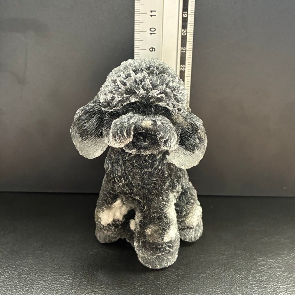 ビッグドッグ、11cm×6、オニキス、ブラック