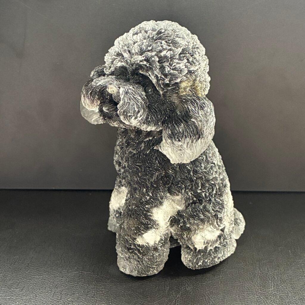 ビッグドッグ、11cm×6、オニキス、ブラック