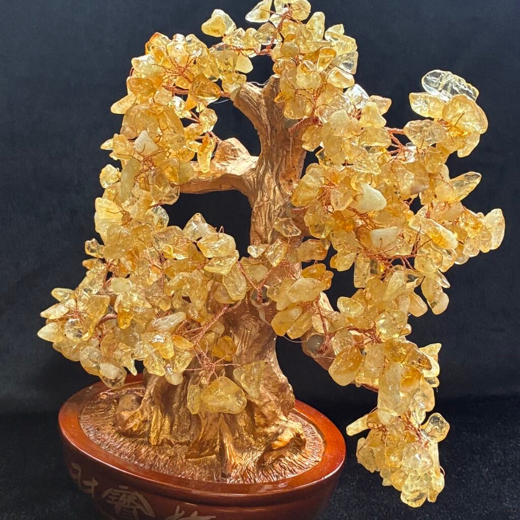 シトリンマネーツリー、26cm×24cm