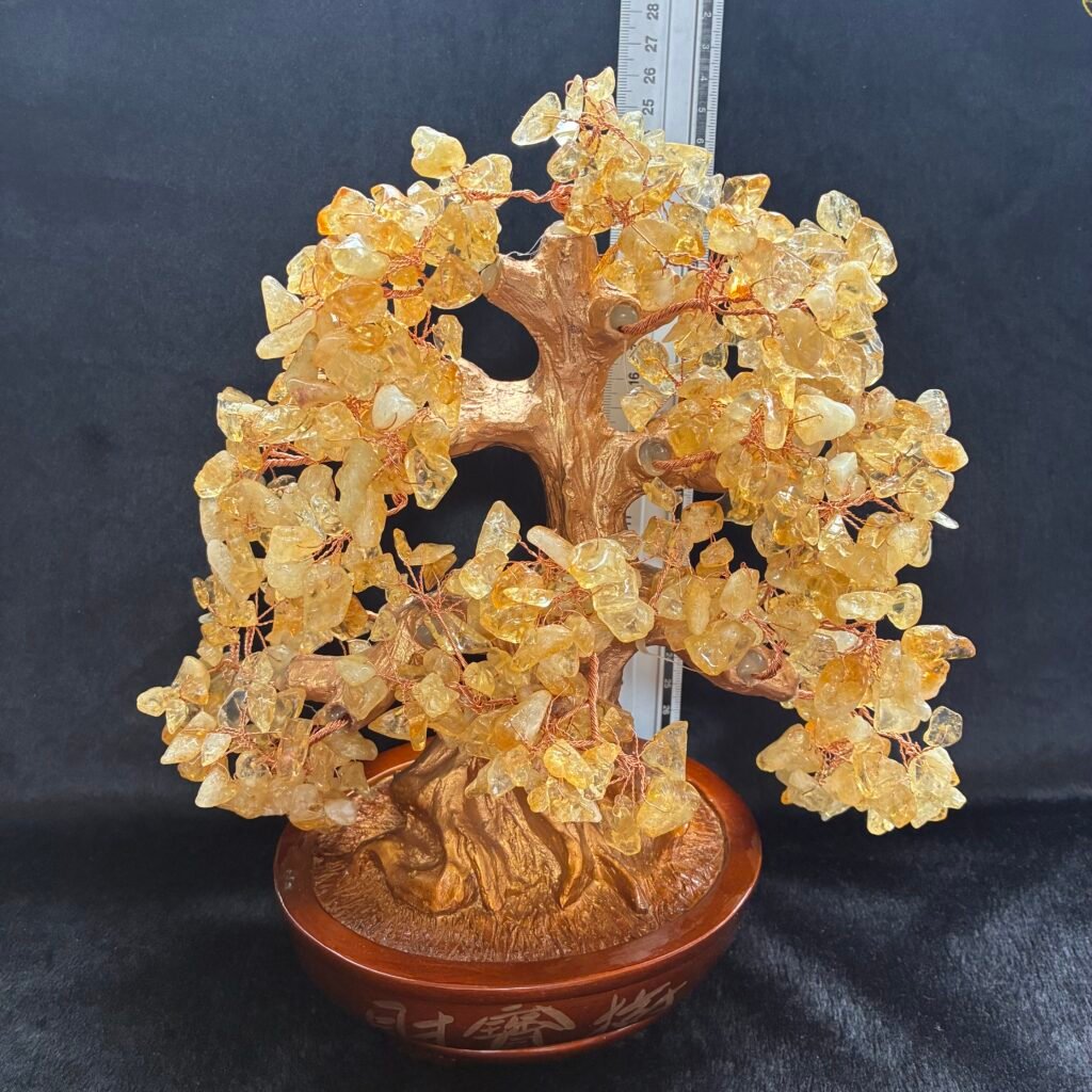 シトリンマネーツリー、26cm×24cm
